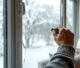 Homeowner installing window insulation film to reduce winter heat loss.